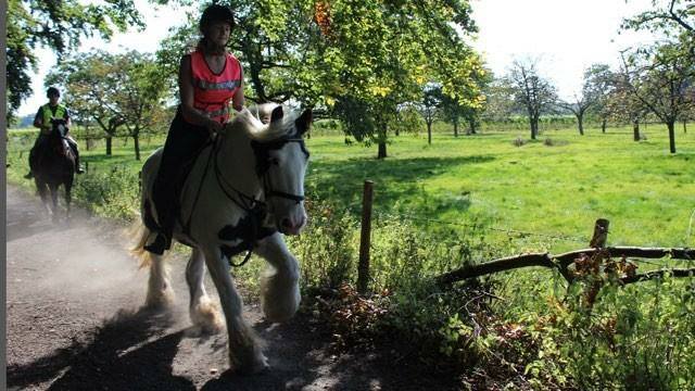 Boxley Riding School added a new... - Boxley Riding School
