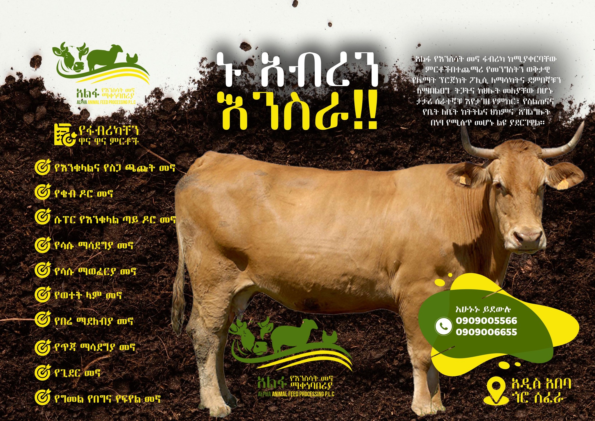 Alpha Animal Feed Processing PLC አልፋ የእንሰሳት መኖ ማቀነባበሪያ