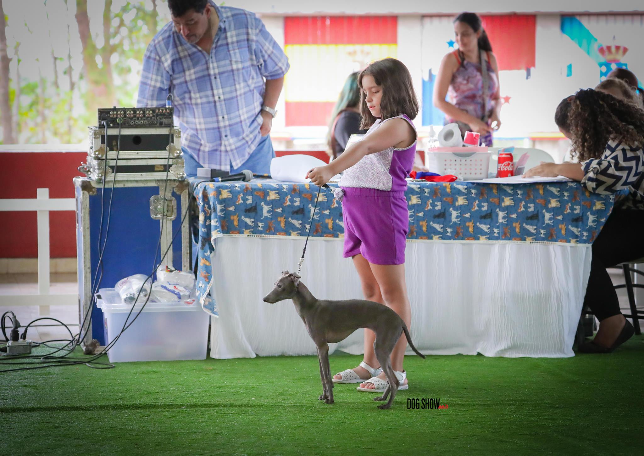 Dog Show News | Panama City