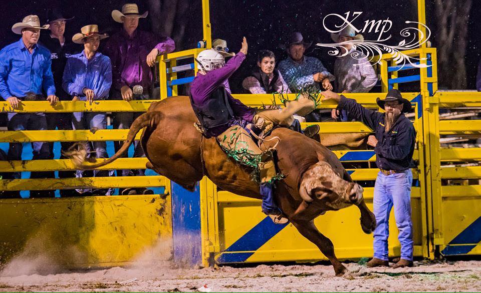 BK Bucking Bulls added a new photo. - BK Bucking Bulls