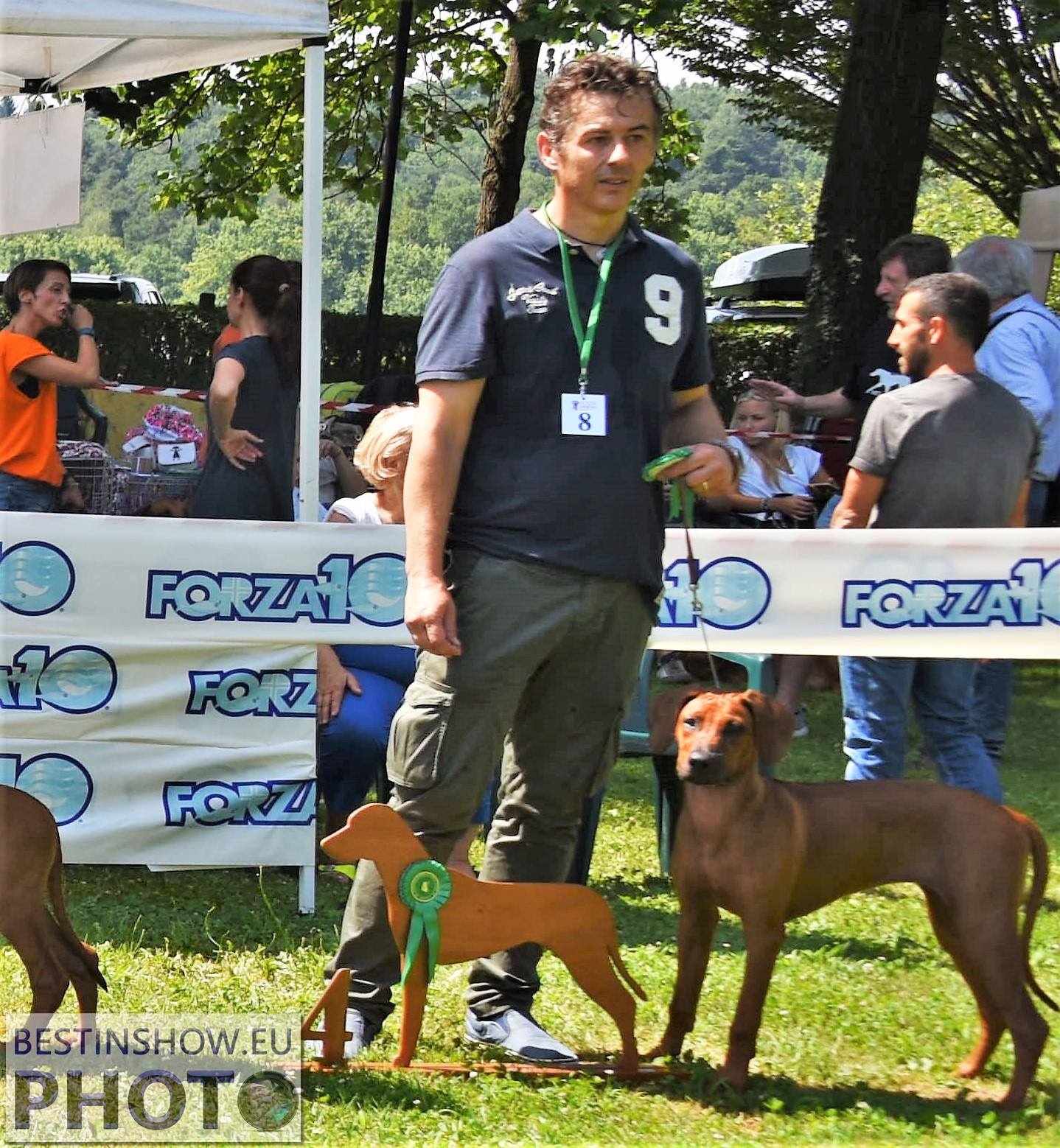Cocker Spaniel & Rhodesian Ridgeback Delle Quattro Lune