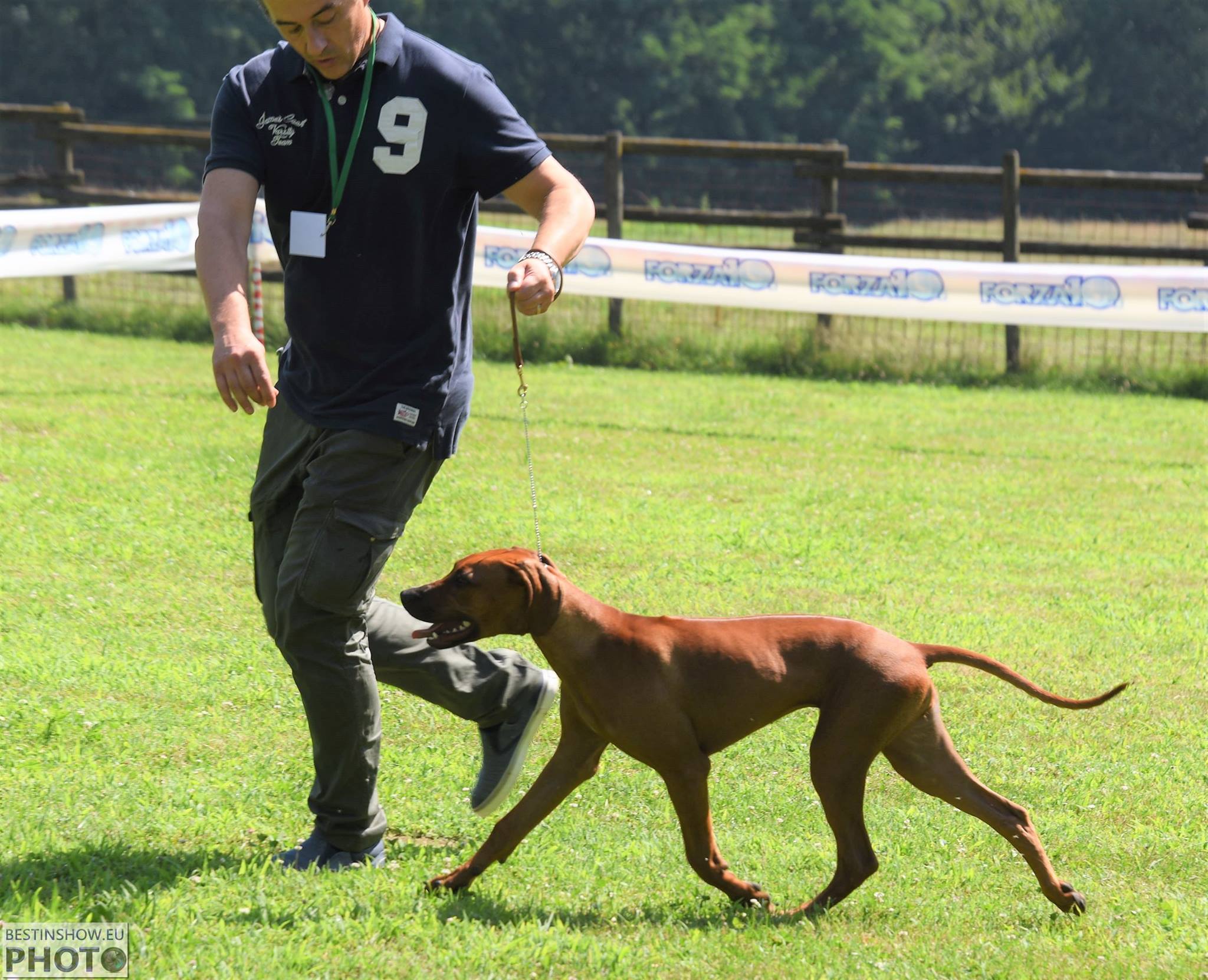 Cocker Spaniel & Rhodesian Ridgeback Delle Quattro Lune