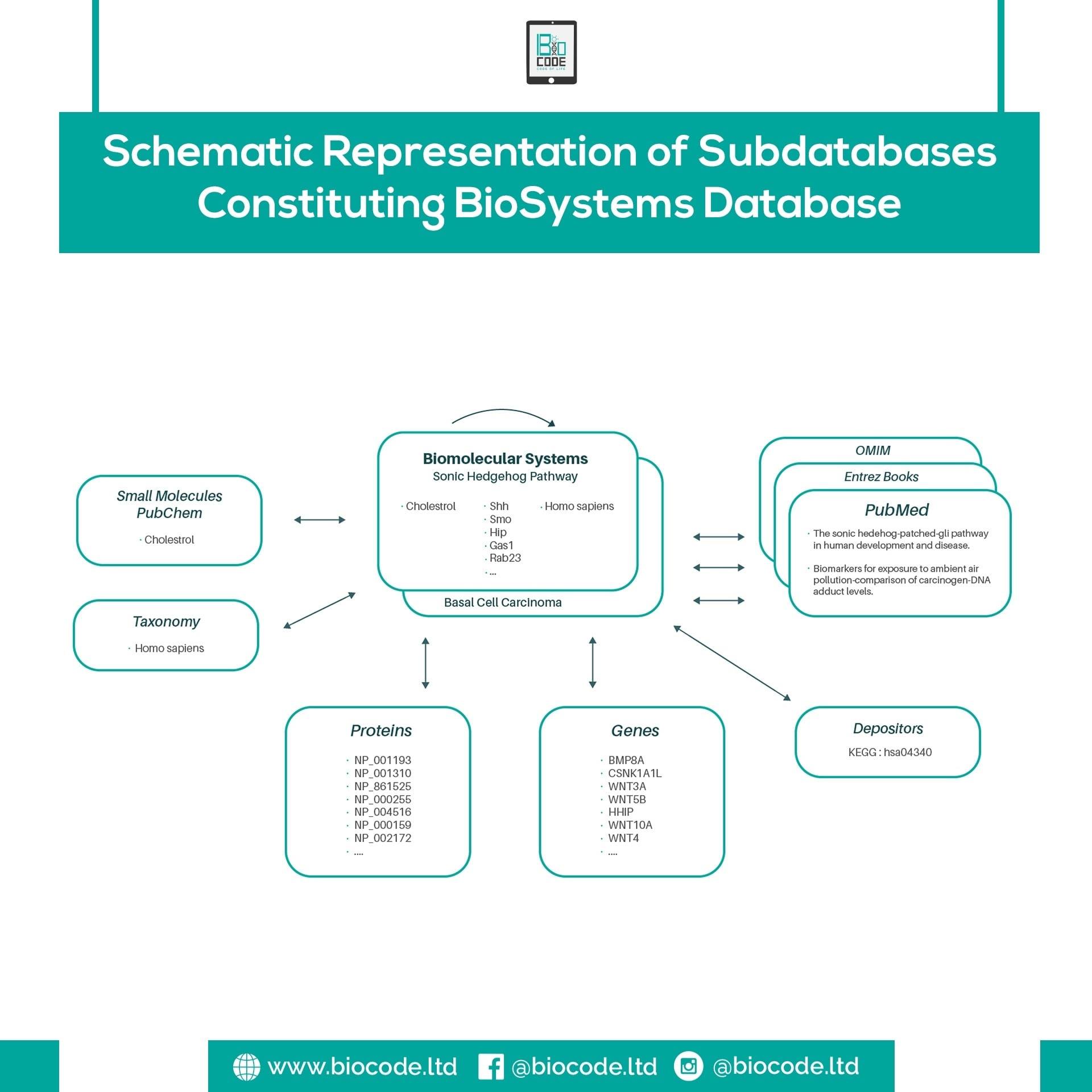BioCode - A schematic representation of the integration of...