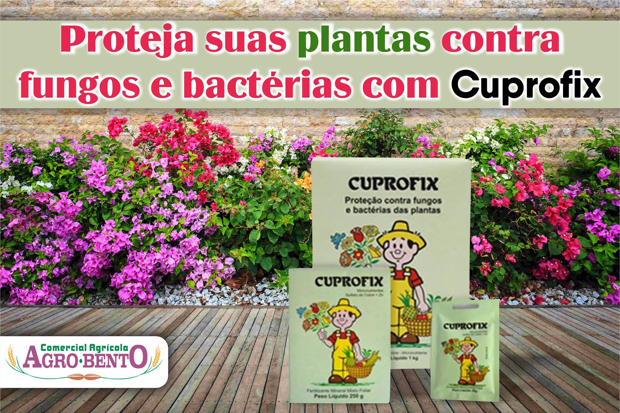 Agro Bento - Cuprofix é uma proteção contra fungos e... | Facebook
