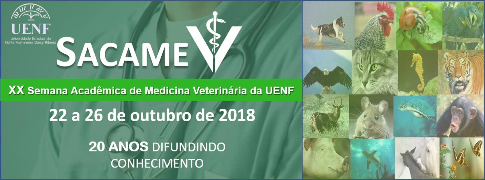 Echopet - Primeiro centro de diagnóstico por imagem e especialidades em ...