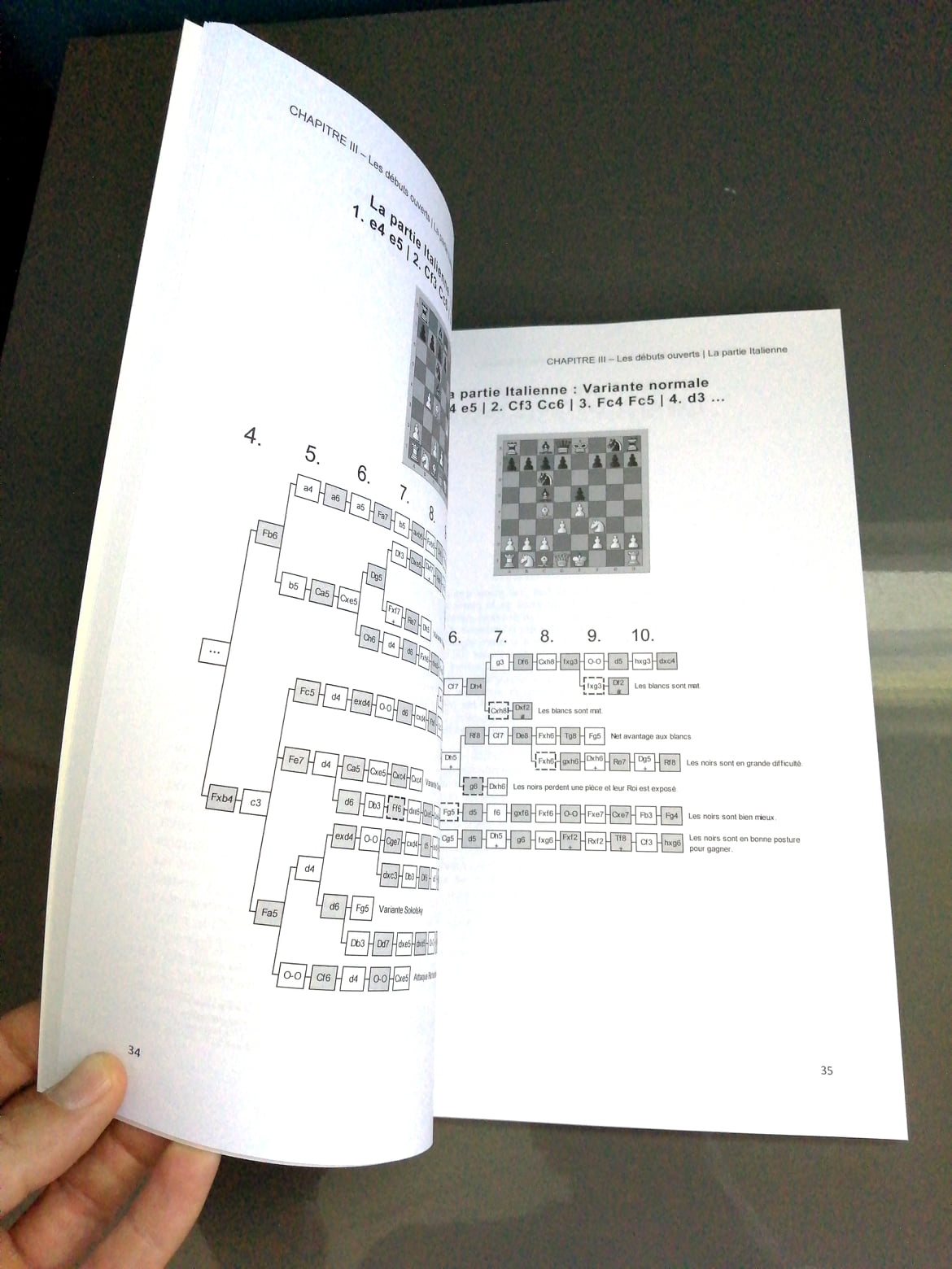 Le Guide Des Ouvertures Aux Echecs