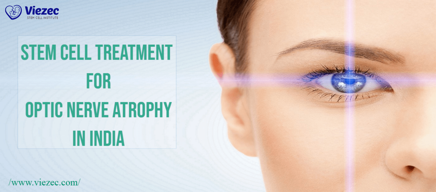 The damage... - Stem Cell Treatment For Optic Nerve Atrophy