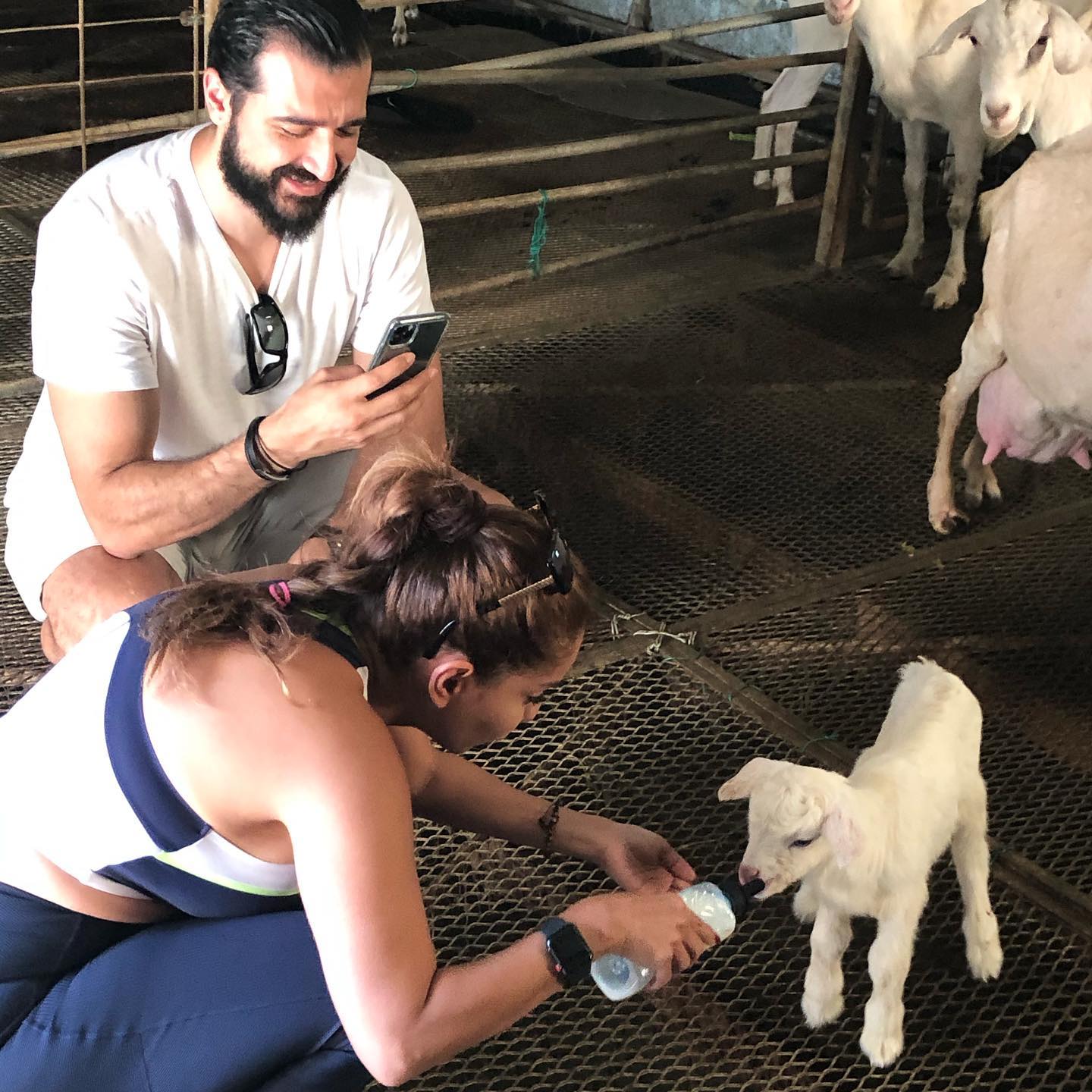 Happy Goats Farm | Balik Pulau