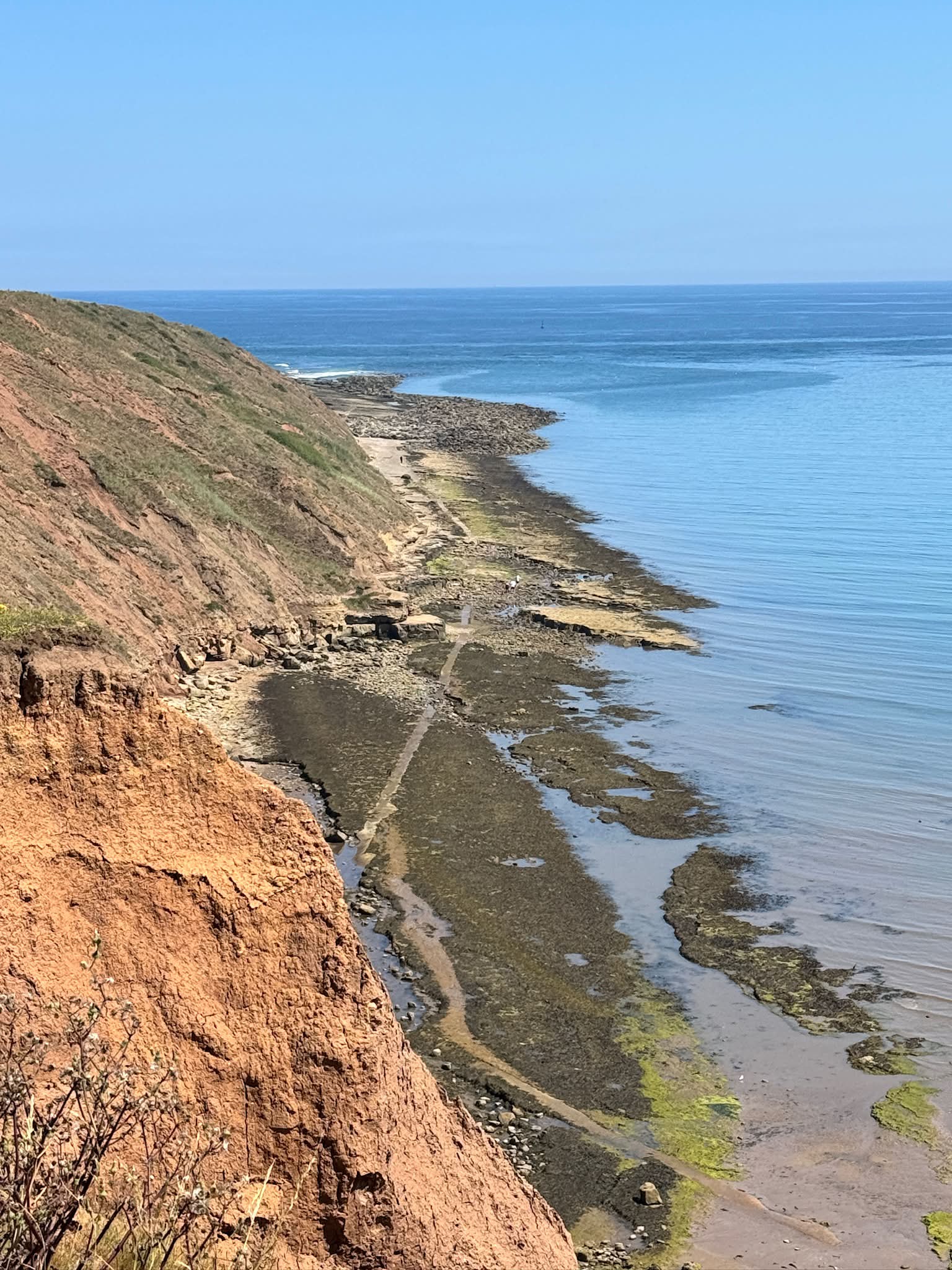 filey brigg lure fishing Flicker Shad HD  Lake Michigan Angler A disappointing weekend of LRF