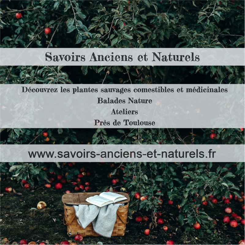 Merci Nature - Petit tour du soir dans la partie sauvage du terrain ...