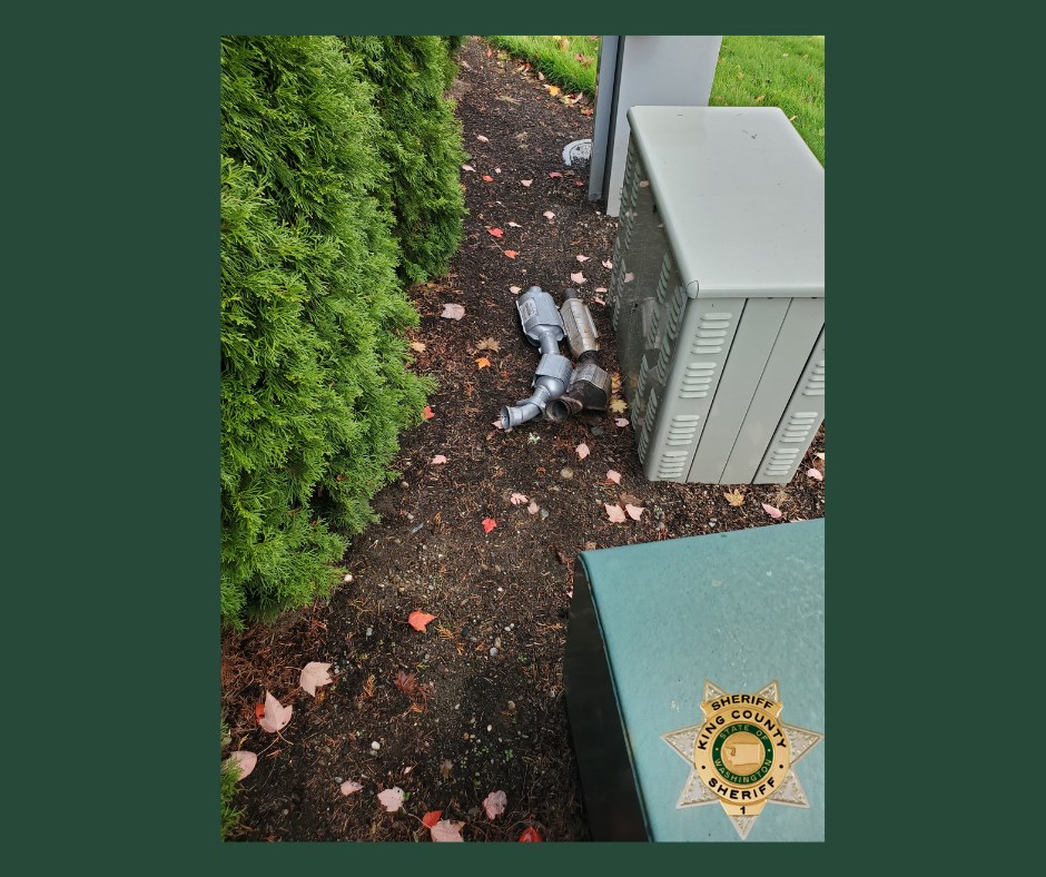 A $7,500 find. Platinum,... - King County Sheriff's Office | Facebook
