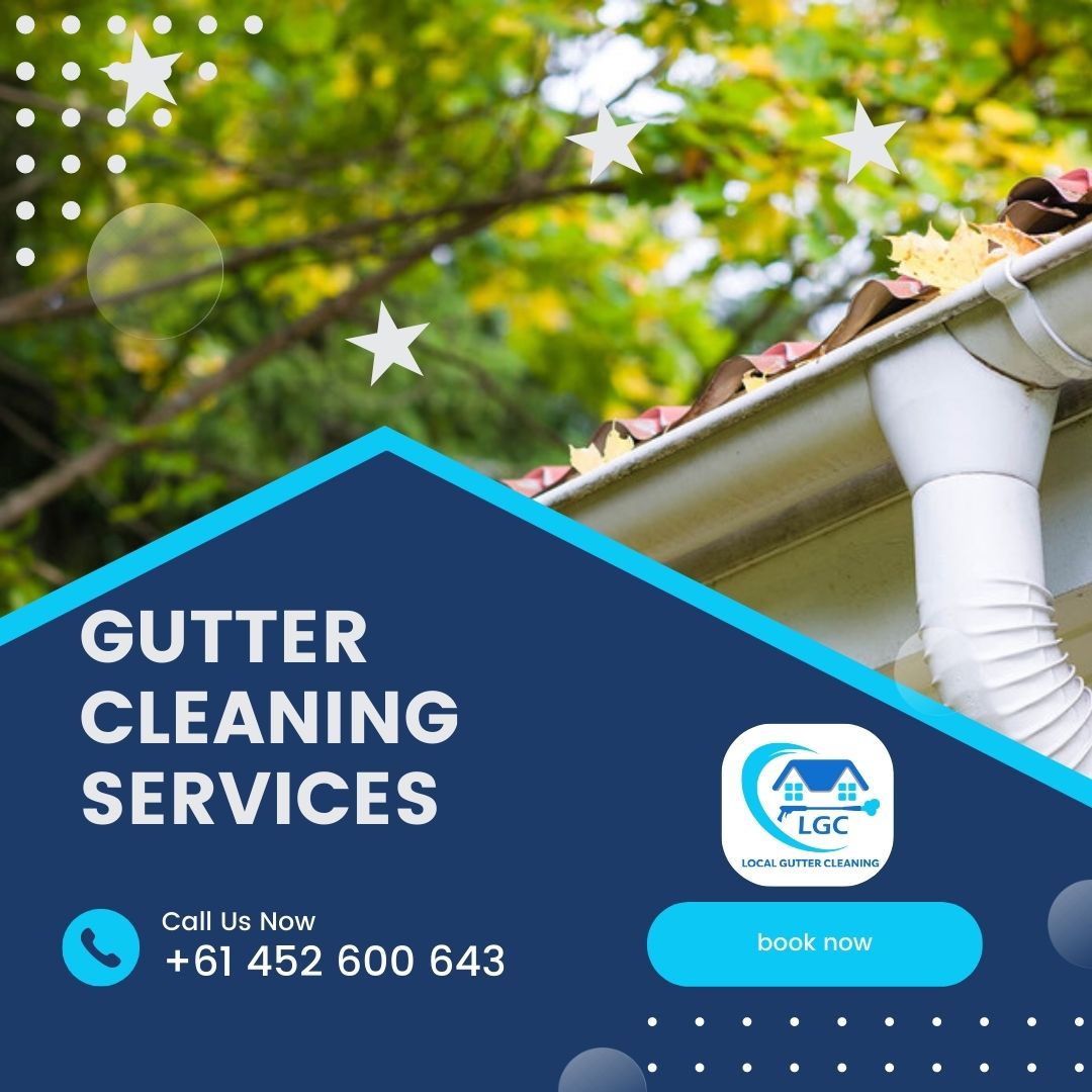 Local Gutter Cleaning | Perth WA