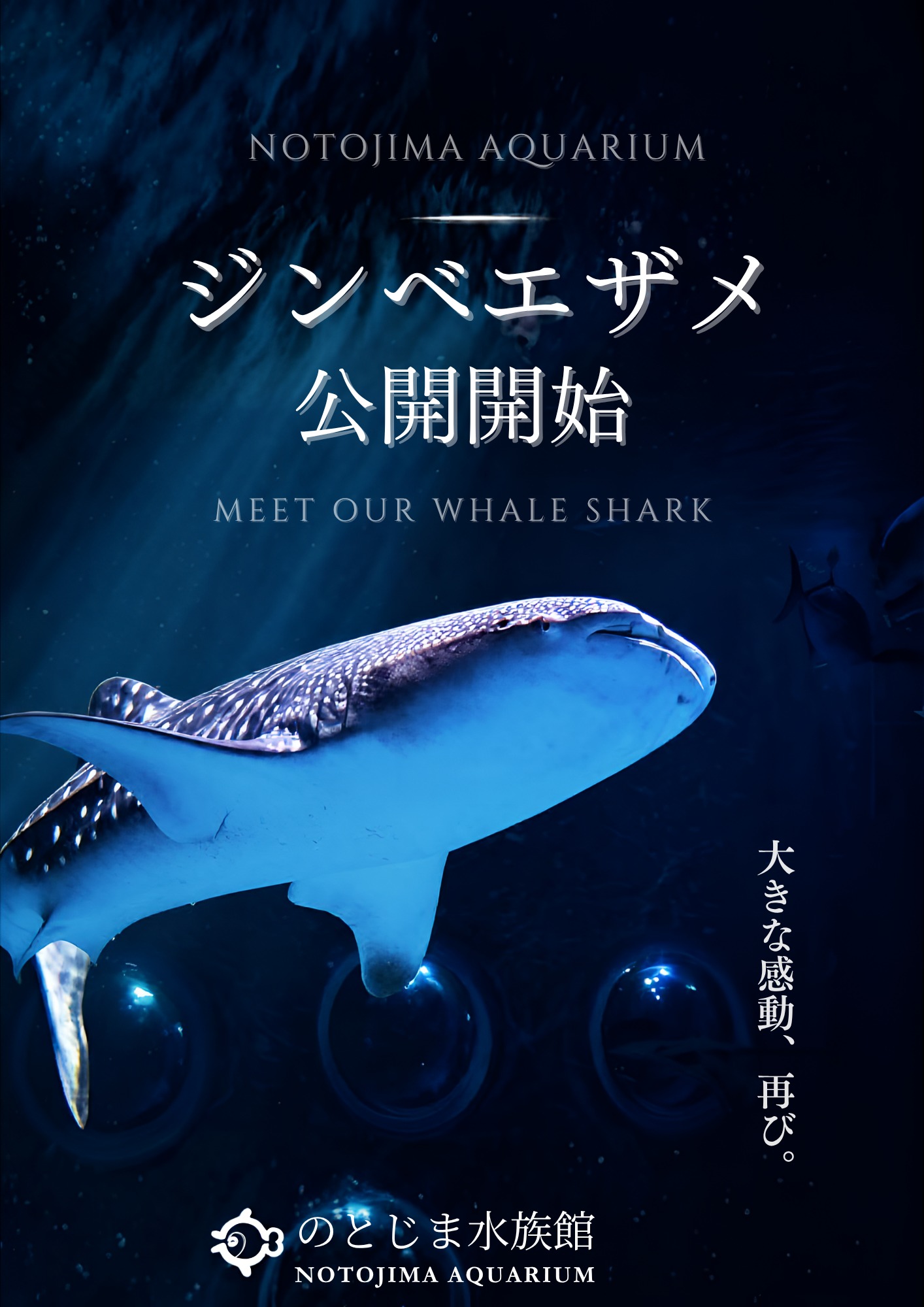 のとじま水族館 | Nanao-shi Ishikawa