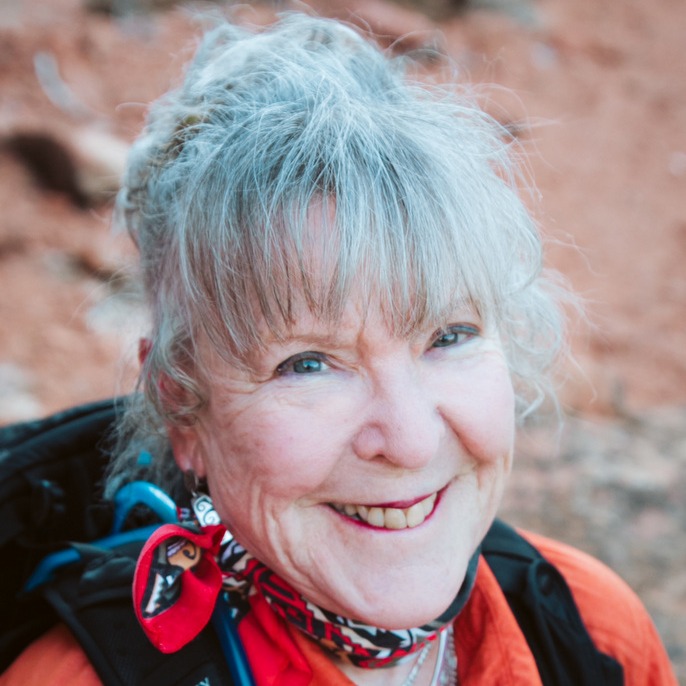 Shelly Pollock - Author