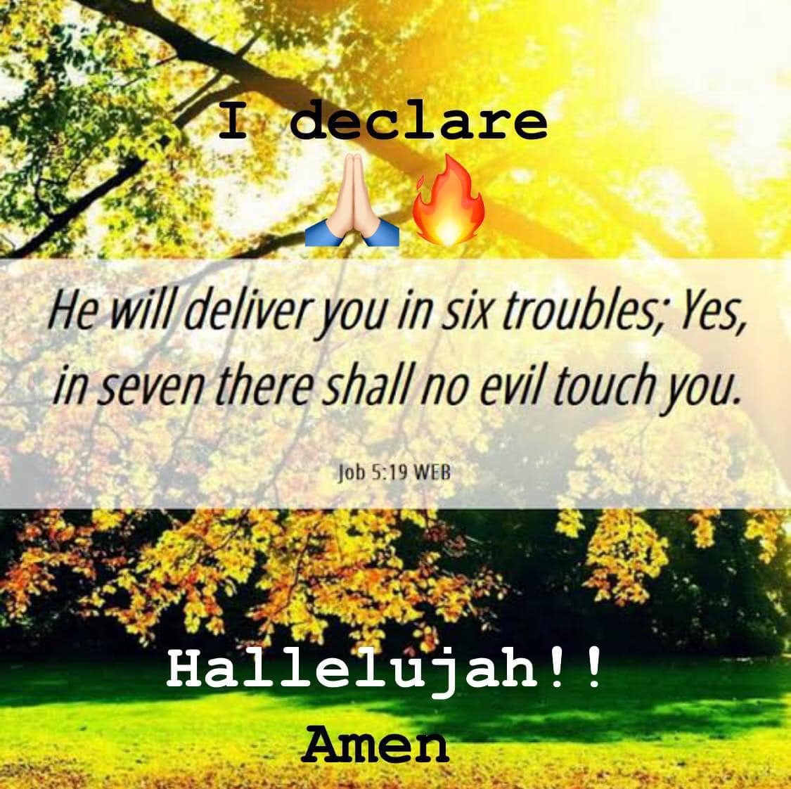 Every word I speak is a seed.” 🌱 😮‍💨 🔥 Thou shalt also decree