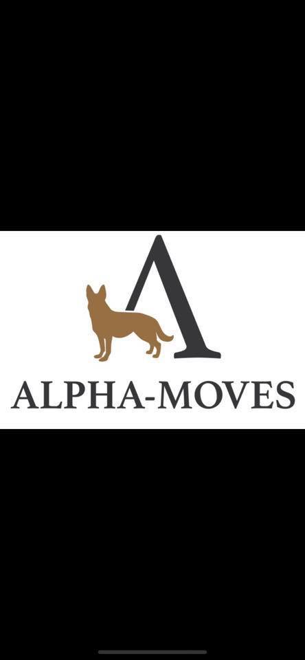 Alpha Moves Dog Training