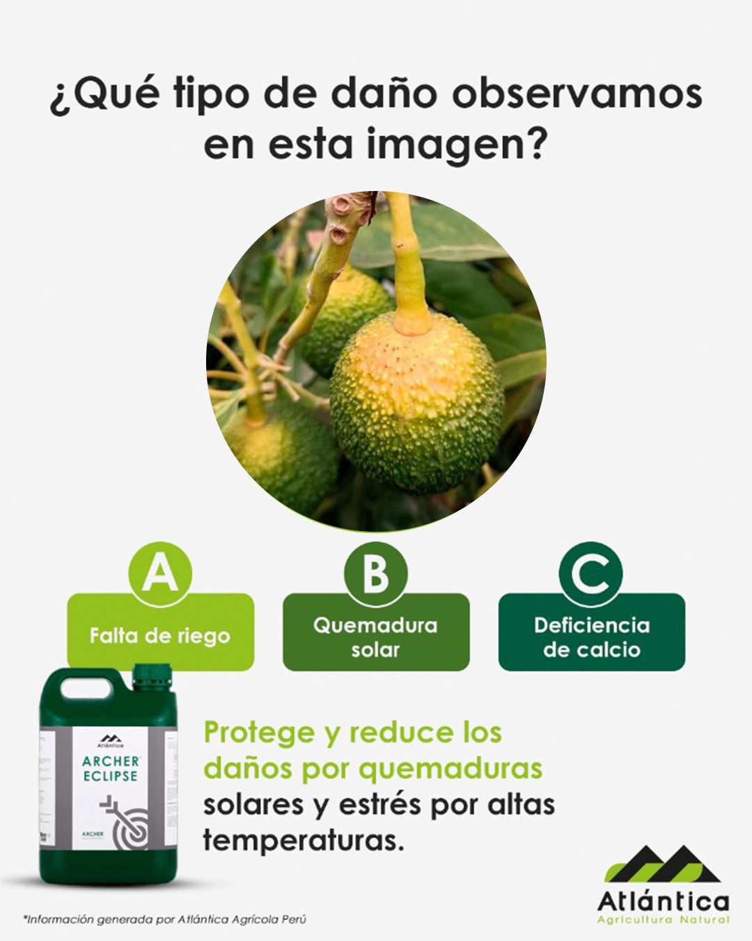 Aminocat Bioestimulante Vegetal Con Aminoácidos Libres Y NPK - 1 Litro, Para Frutales, Hortalizas Y Plantas