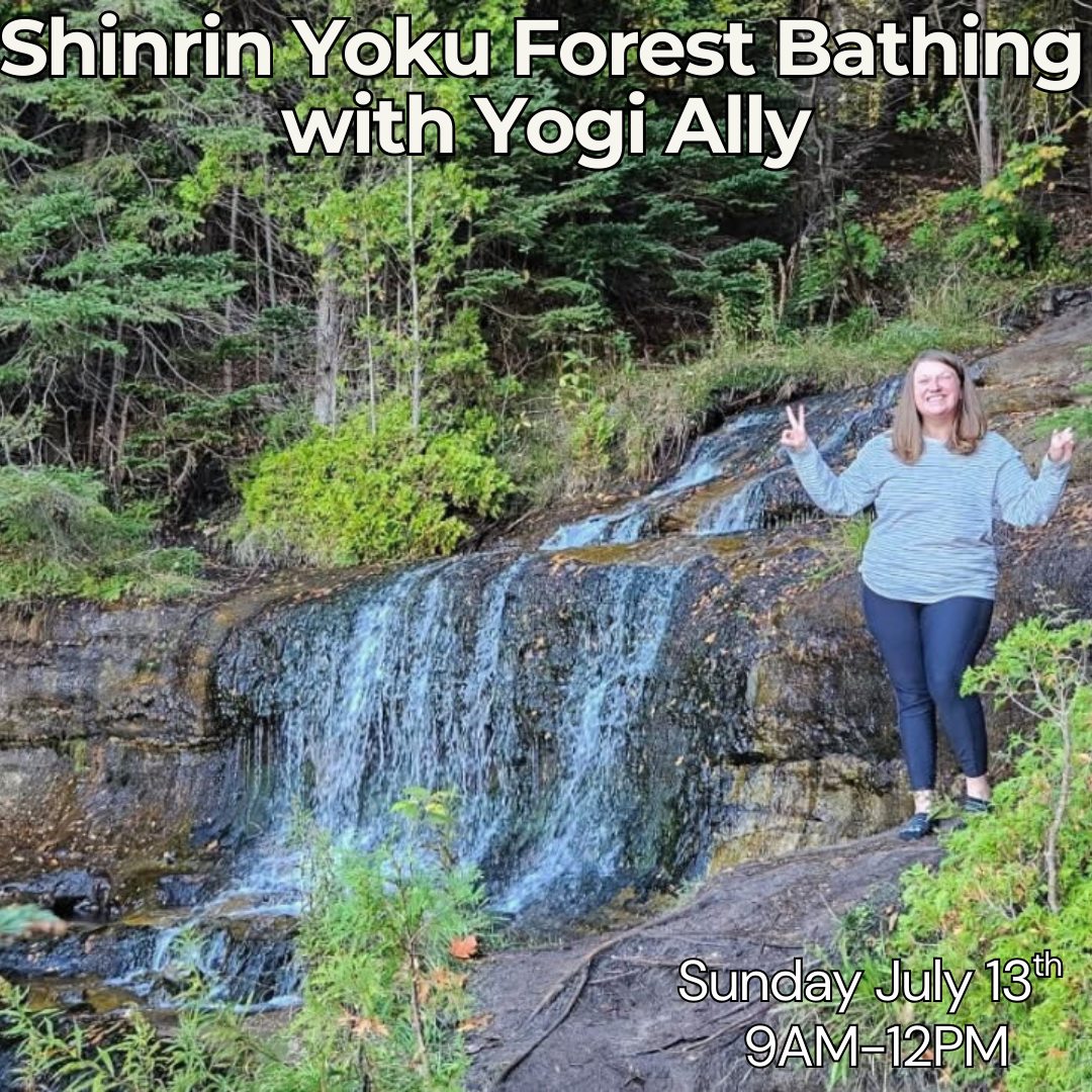 Shinrin Yoku ~ Forest Bathing