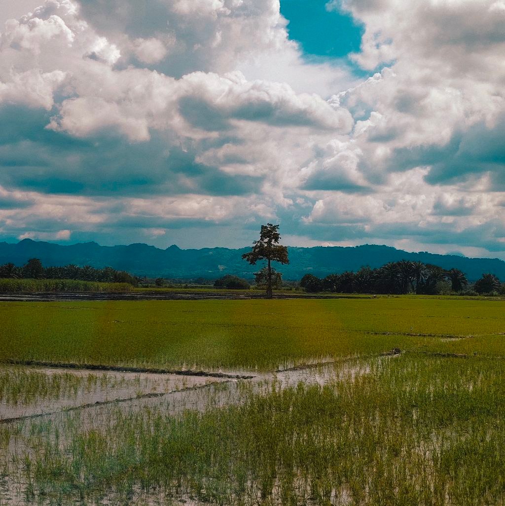 Biebie S. Balabagan