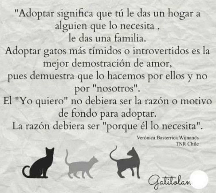 ️😻🐶El verdadero significado de... - Peludos que dejan Huella