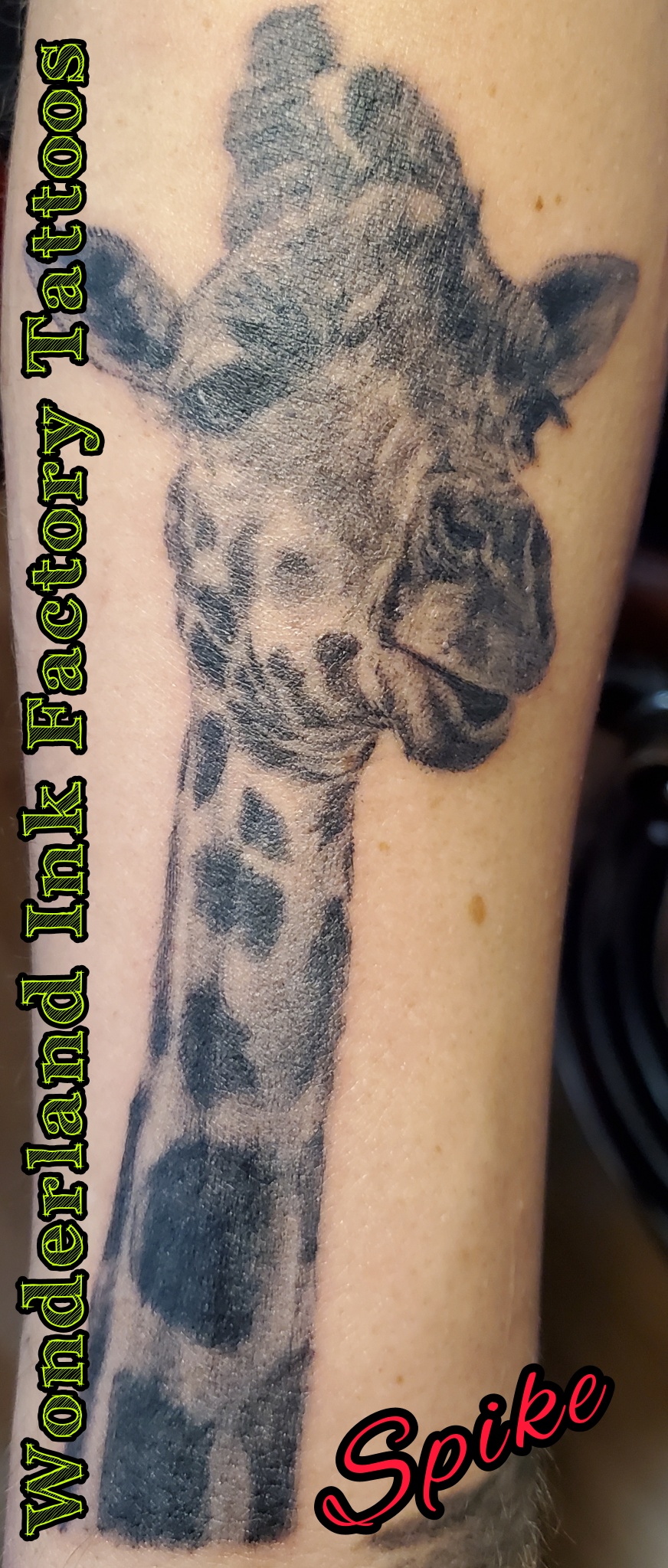 25 Best Tattoo & Piercing Shop Near Watertown, New York