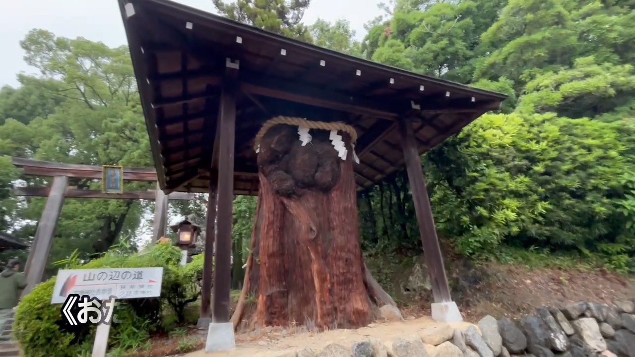 大田 田 根子