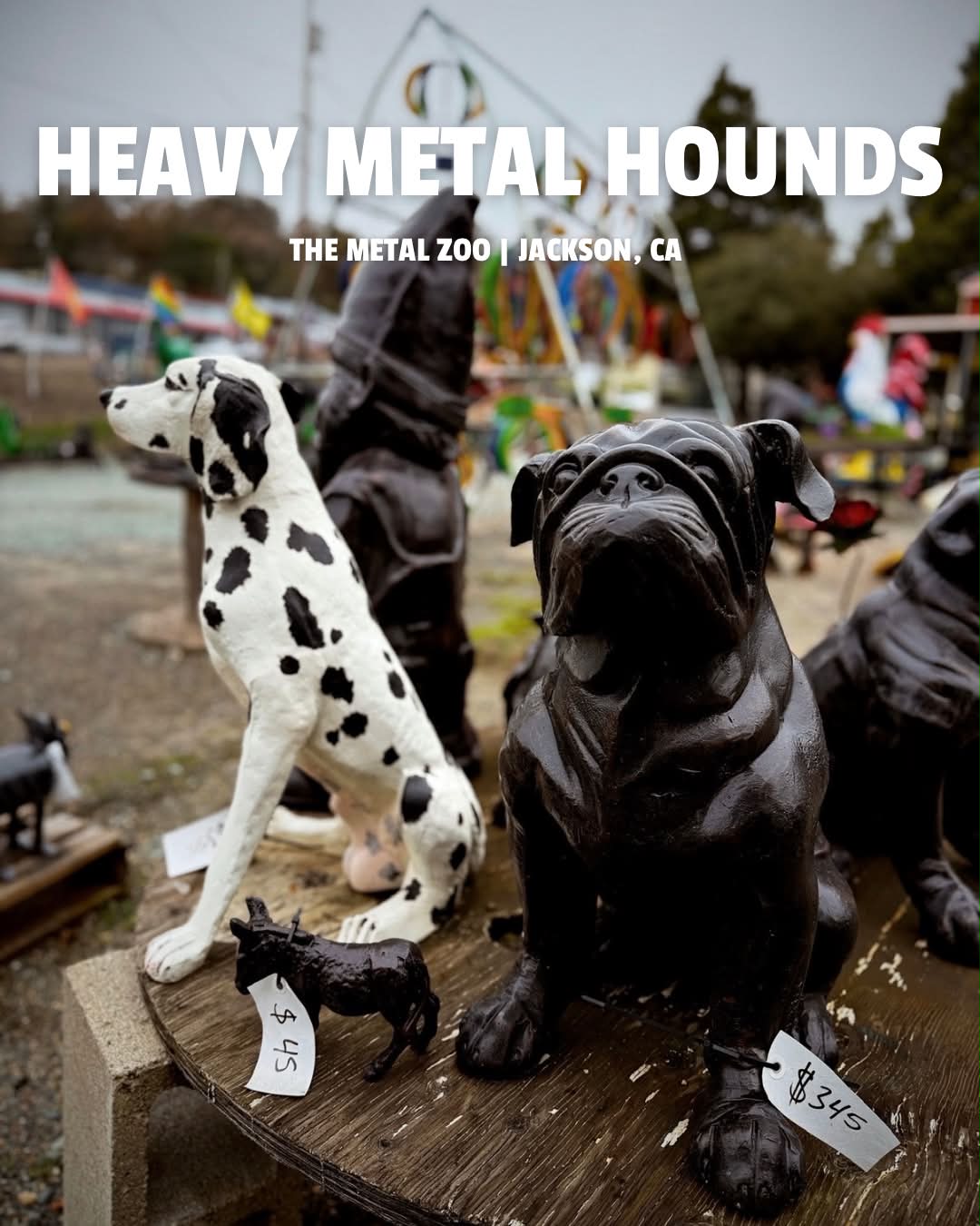 The Metal Zoo | Jackson CA