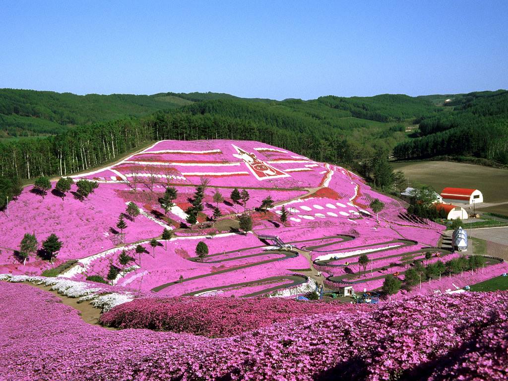 北の快適工房 Gonderiler Facebook