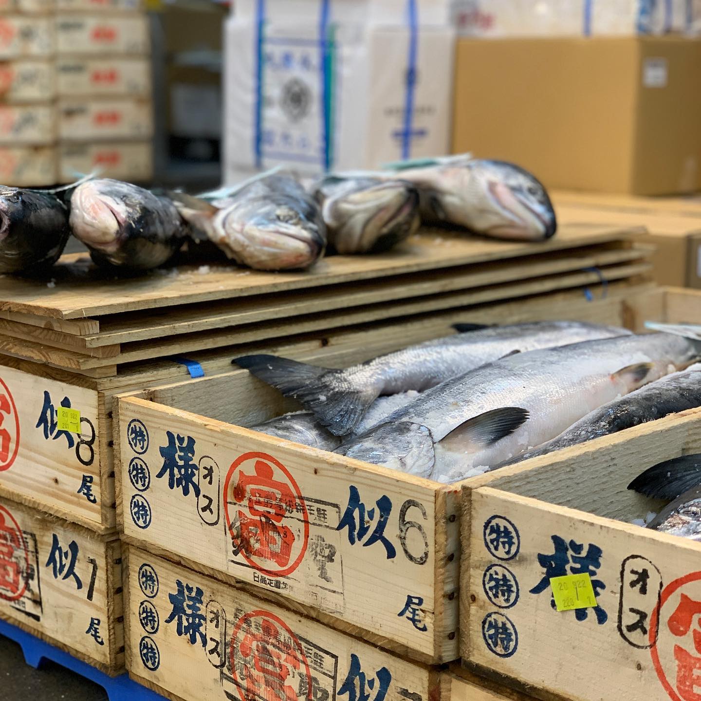 魚木箱 トロ箱 写真素材 2169353 -