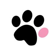 🐶 Keep your pup safe and have more fun! The Pup Stack is the ultimate ...