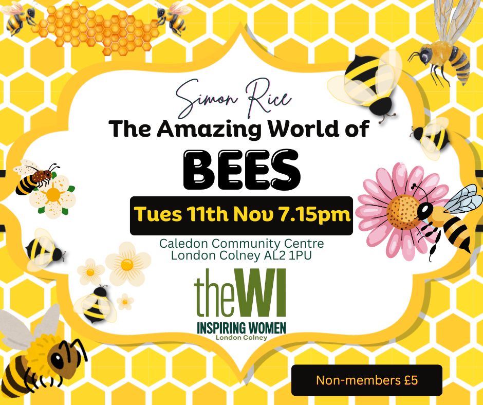 November Meeting - The Amazing World of Bees with Simon Rice