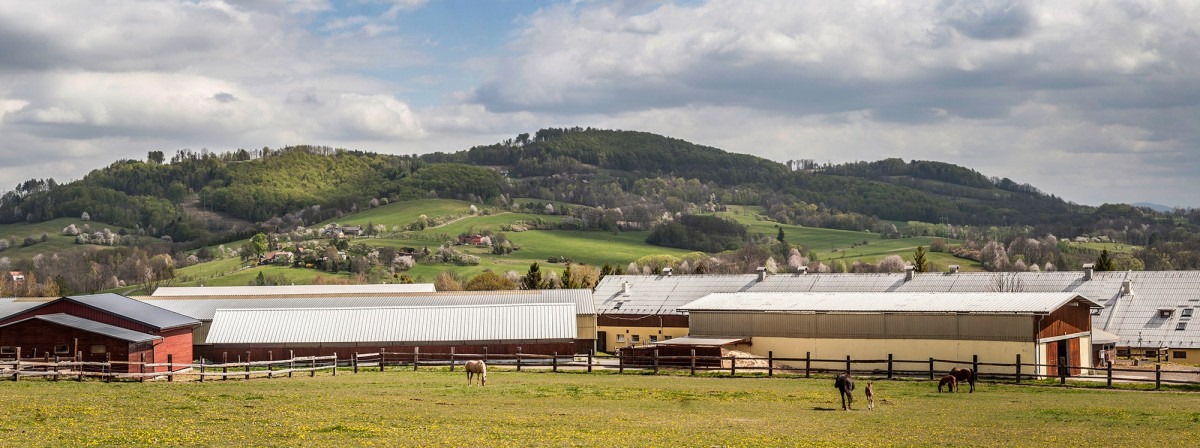 Ranč Orel - Ranč Orel added a new photo.