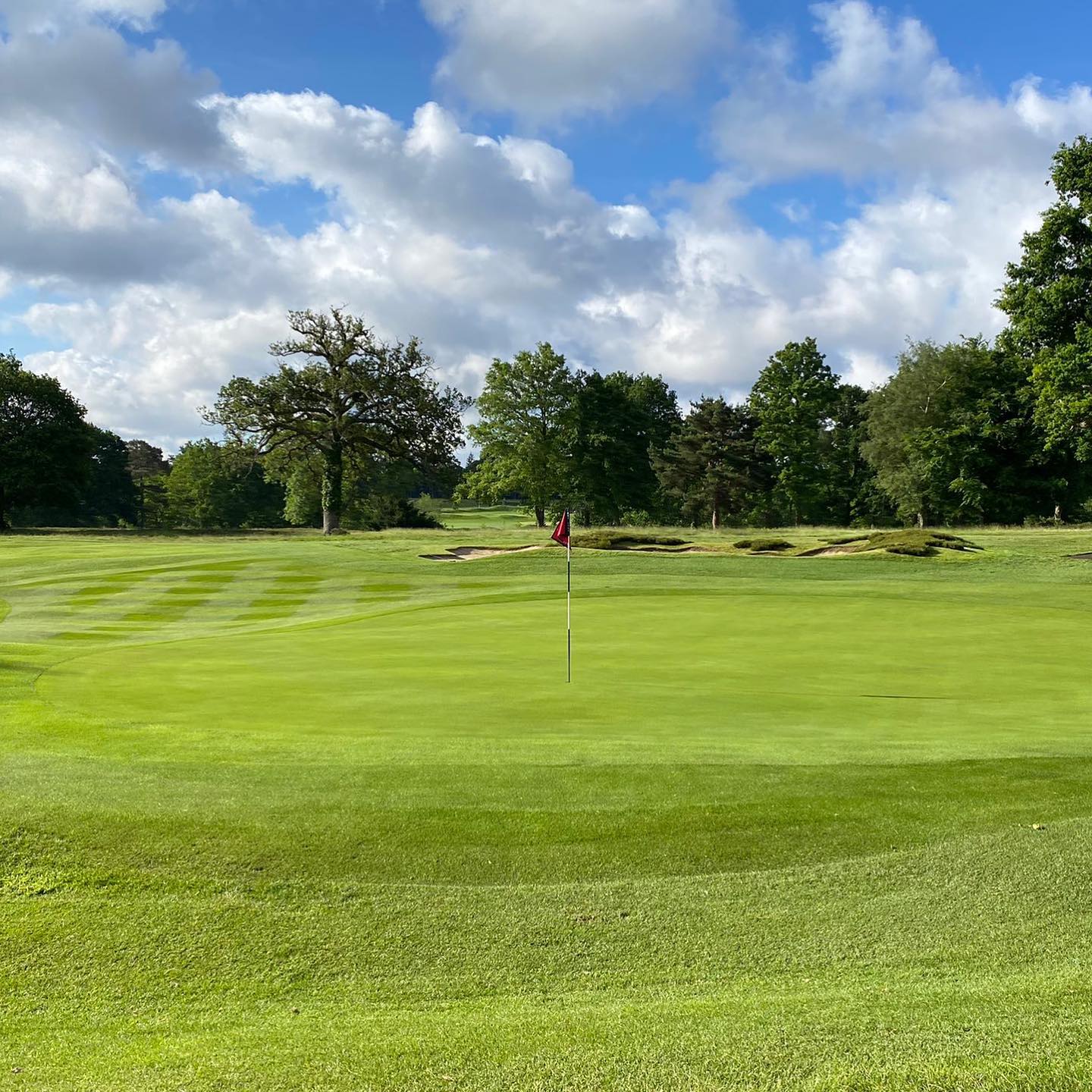 Flushing It - The Hampshire County Championships were held...