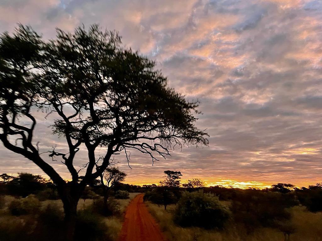 Gamagara Africa Private Nature Reserve | Dibeng