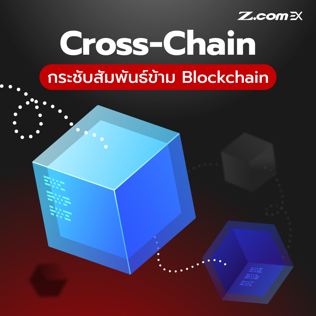 Z.com EX - Cross-Chain เปิดวาร์ปทะลุ Blockchain 🔸 🔸... | Facebook