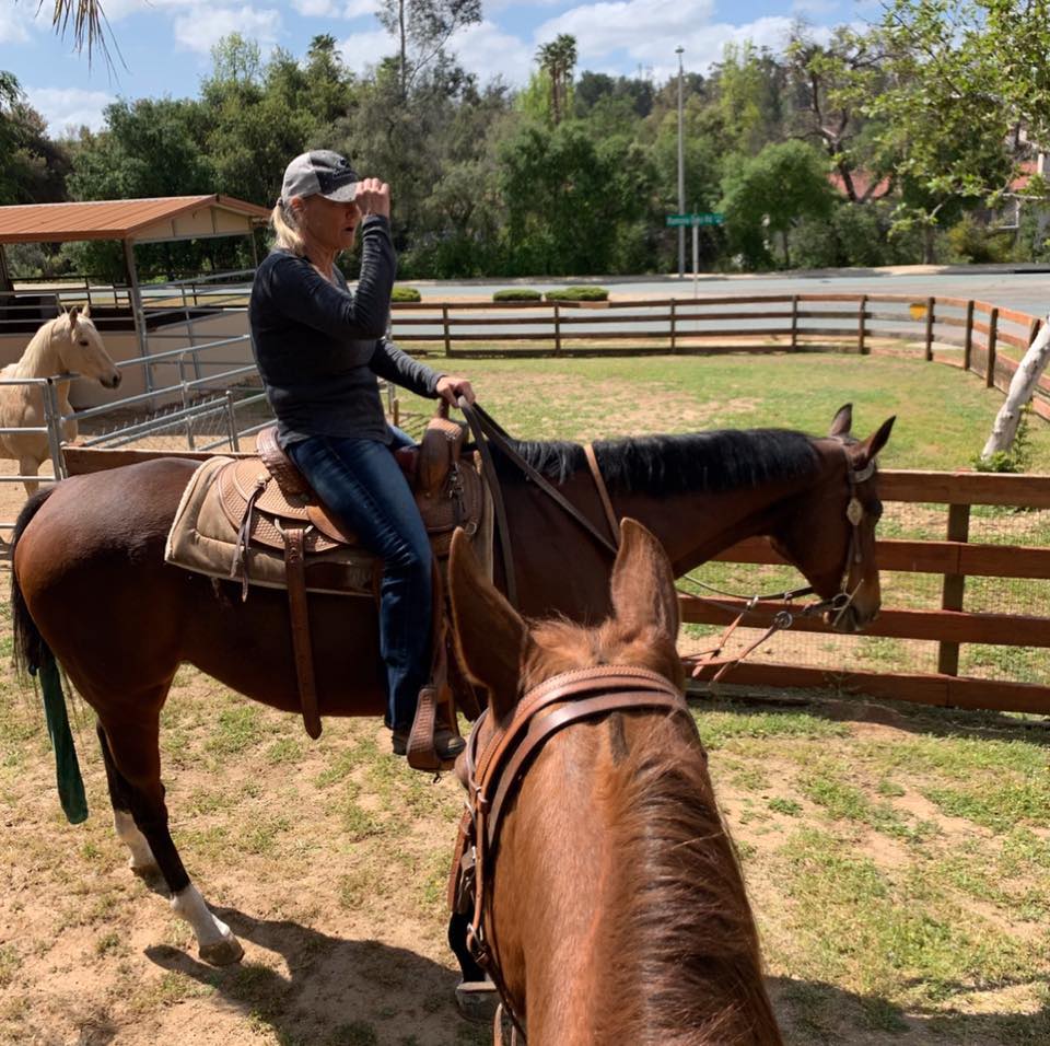 Country - C5 Rodeo's legendary bucking horse, Virgil, is officially ...