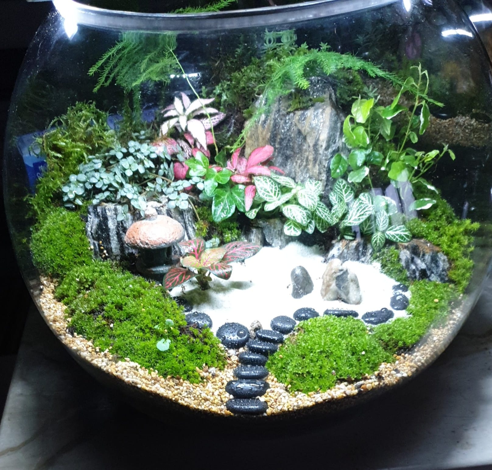 Japanese garden in a 30cm fishbowl.
