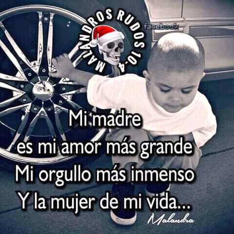 Malandros rudos 10-4