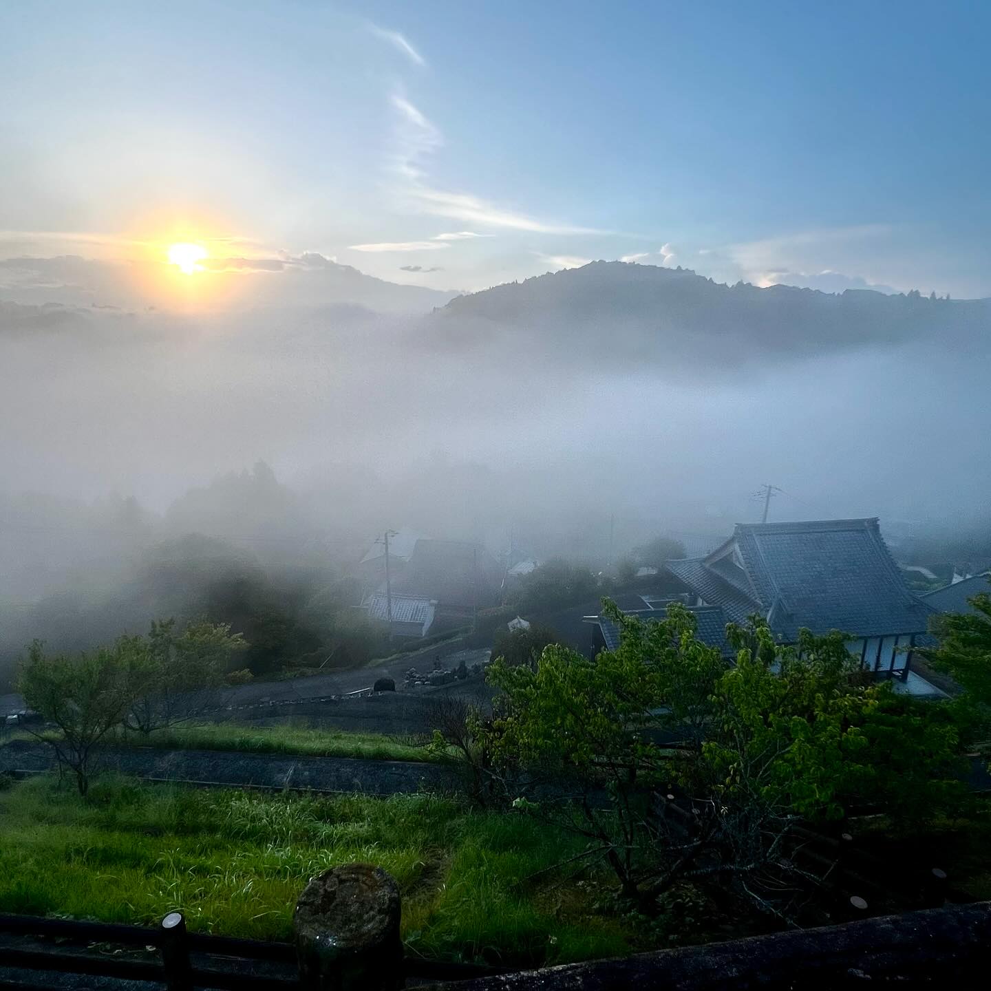2025年5月8日.月ヶ瀬ぶらり散歩 晴れた朝、5月の風景🌱 早朝の気温