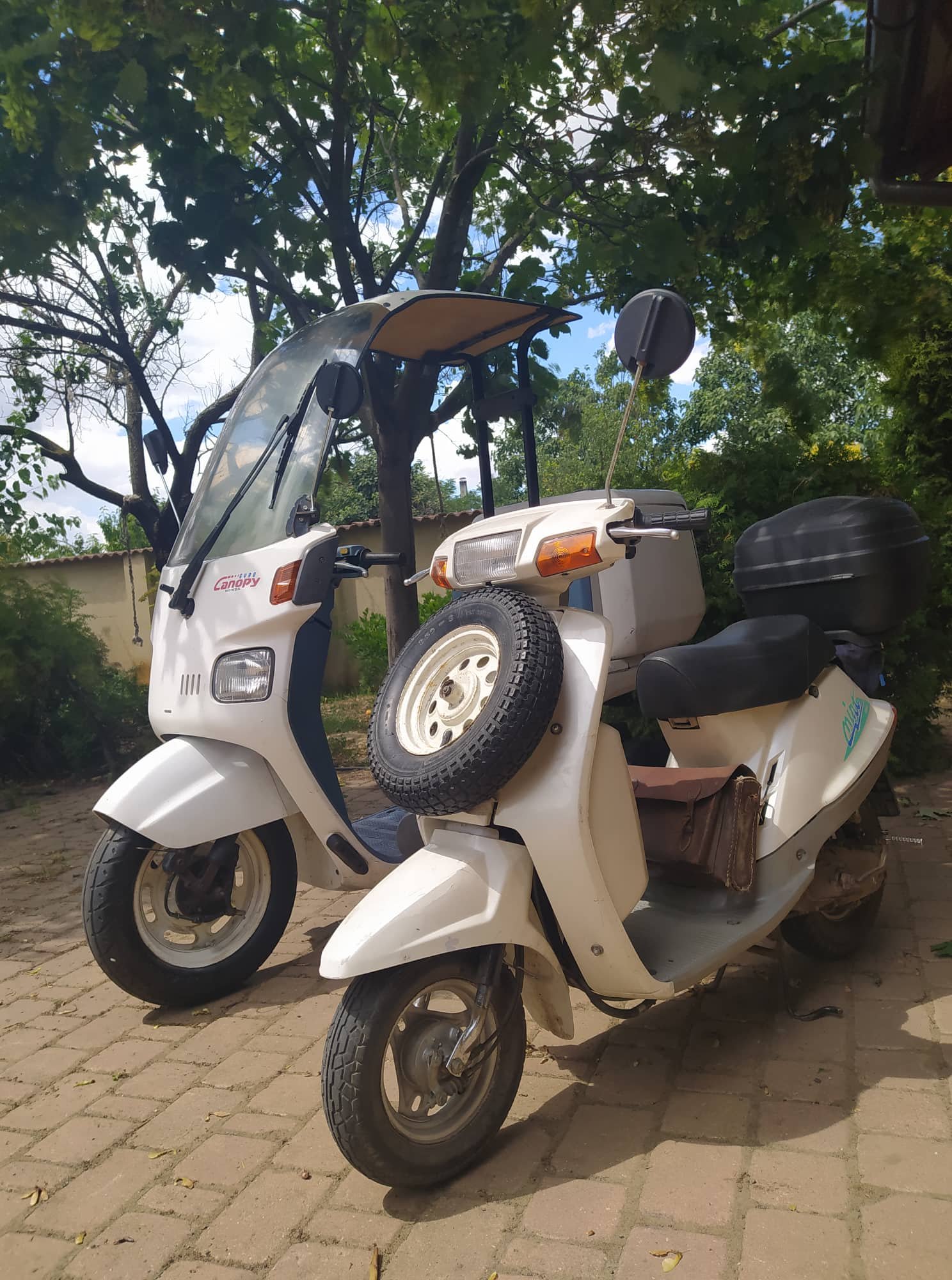 Where to find Honda Gyro Canopy TA02 service manual?