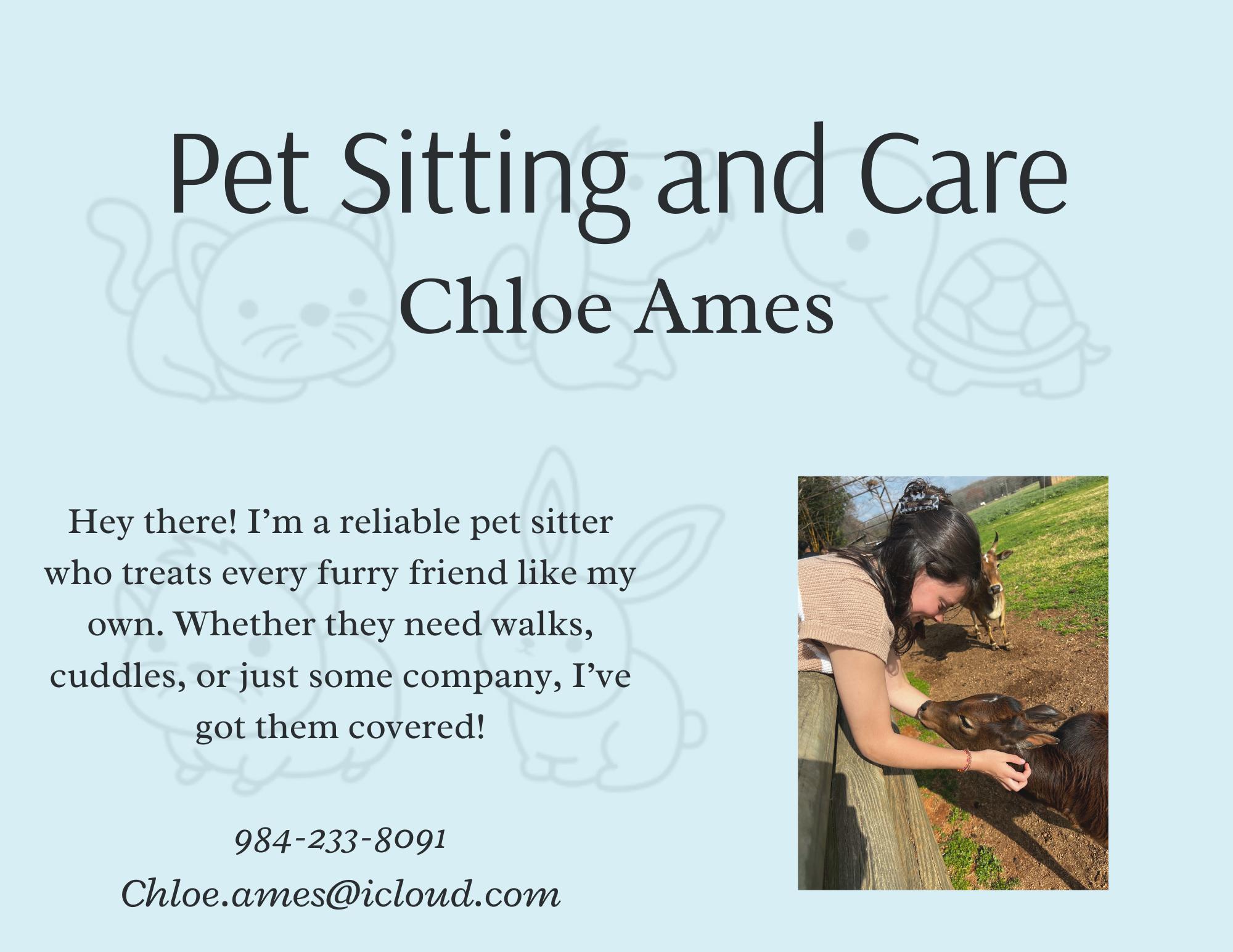 Hi! I'm Chloe Wood, a college student who offers dog sitting