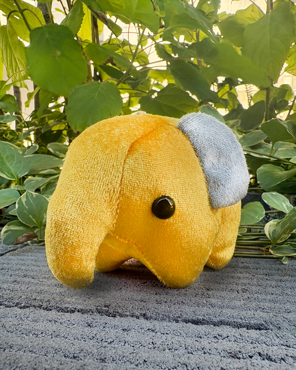ほわっ🐥むちっ🐥ドムッとした どむぞうくんのおともだちです