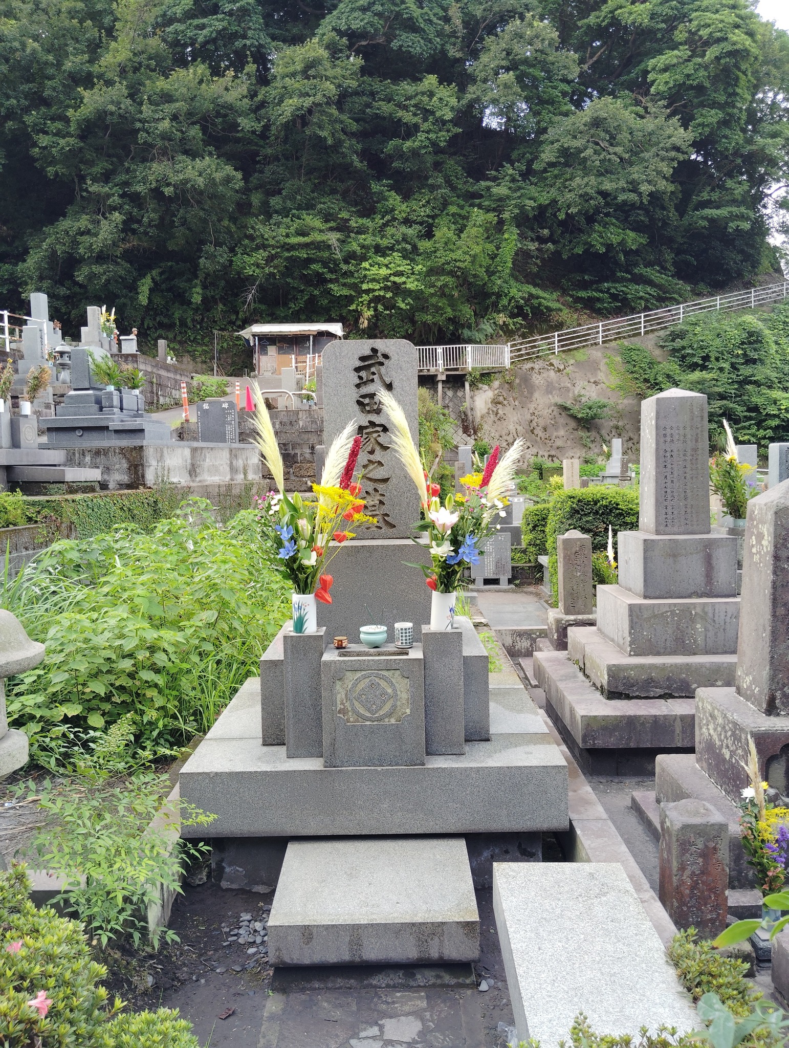武田弘