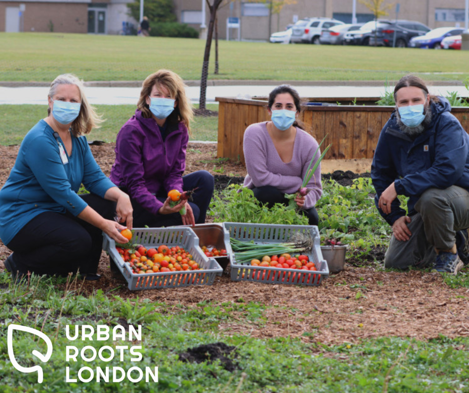 This past summer we started a pilot... - Urban Roots London | Facebook