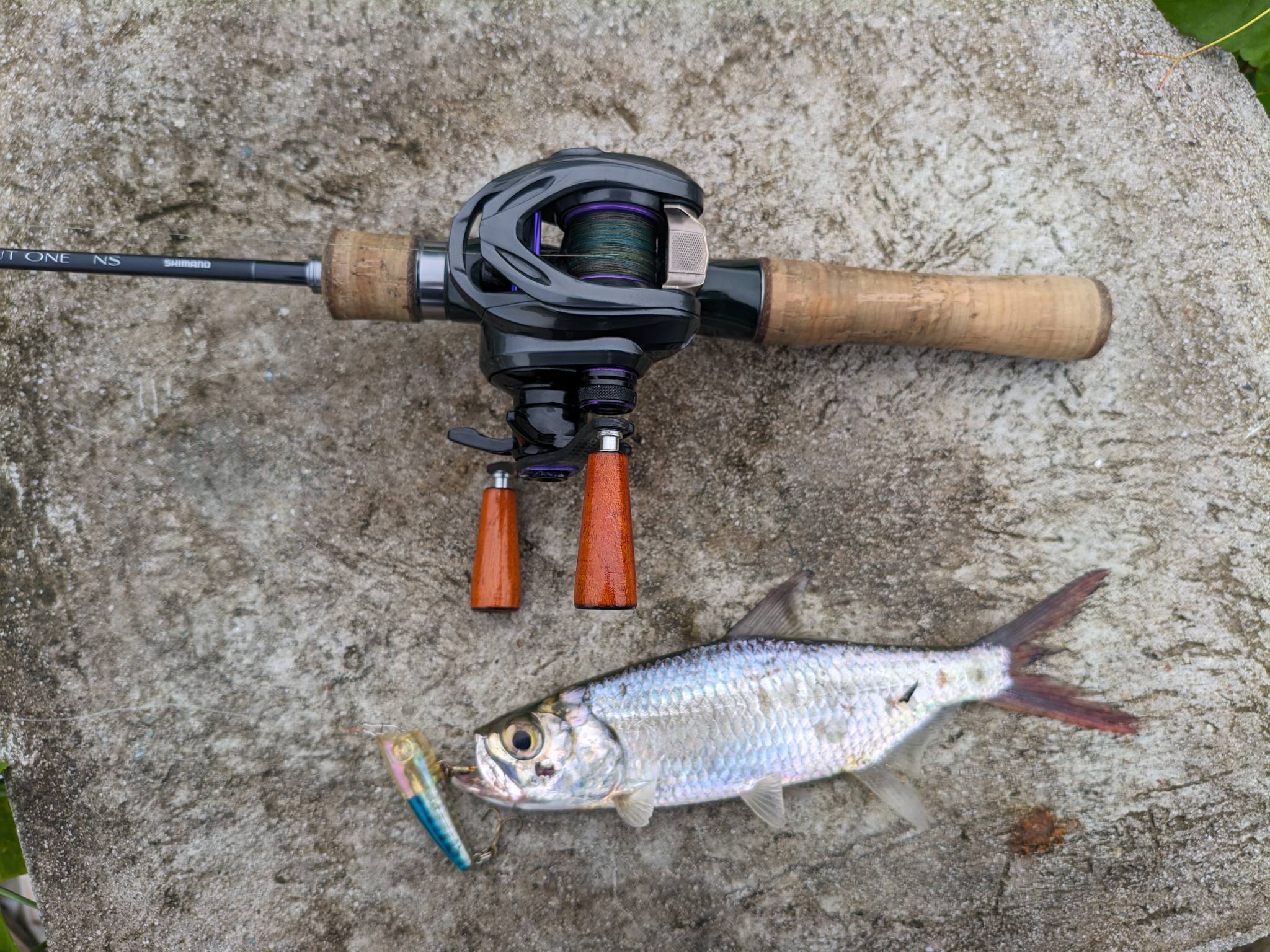 Review of dmk cheetah air reel