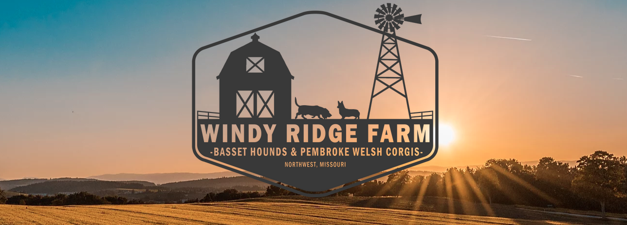 Windy Ridge Farm