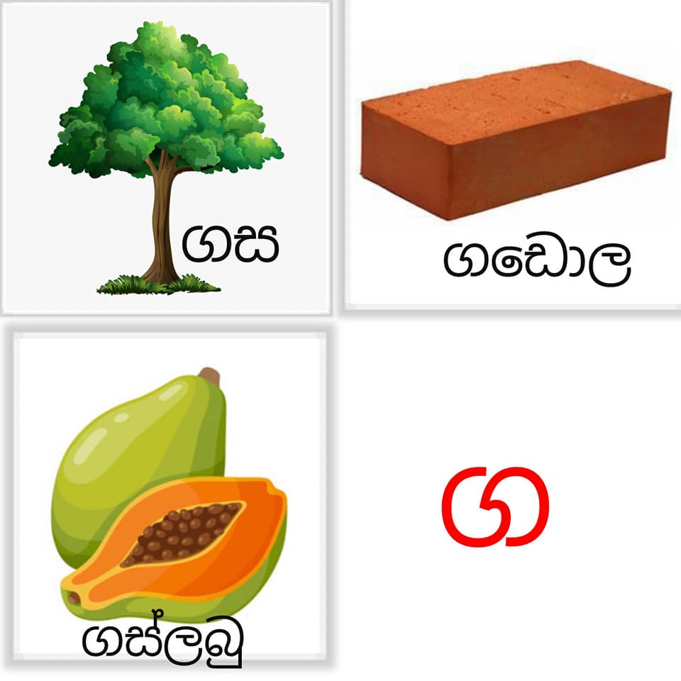සිංහල පන්තිය - අකුරු සහ වචන හදුන්වා දීම. (පින්තූර සහිතව)...