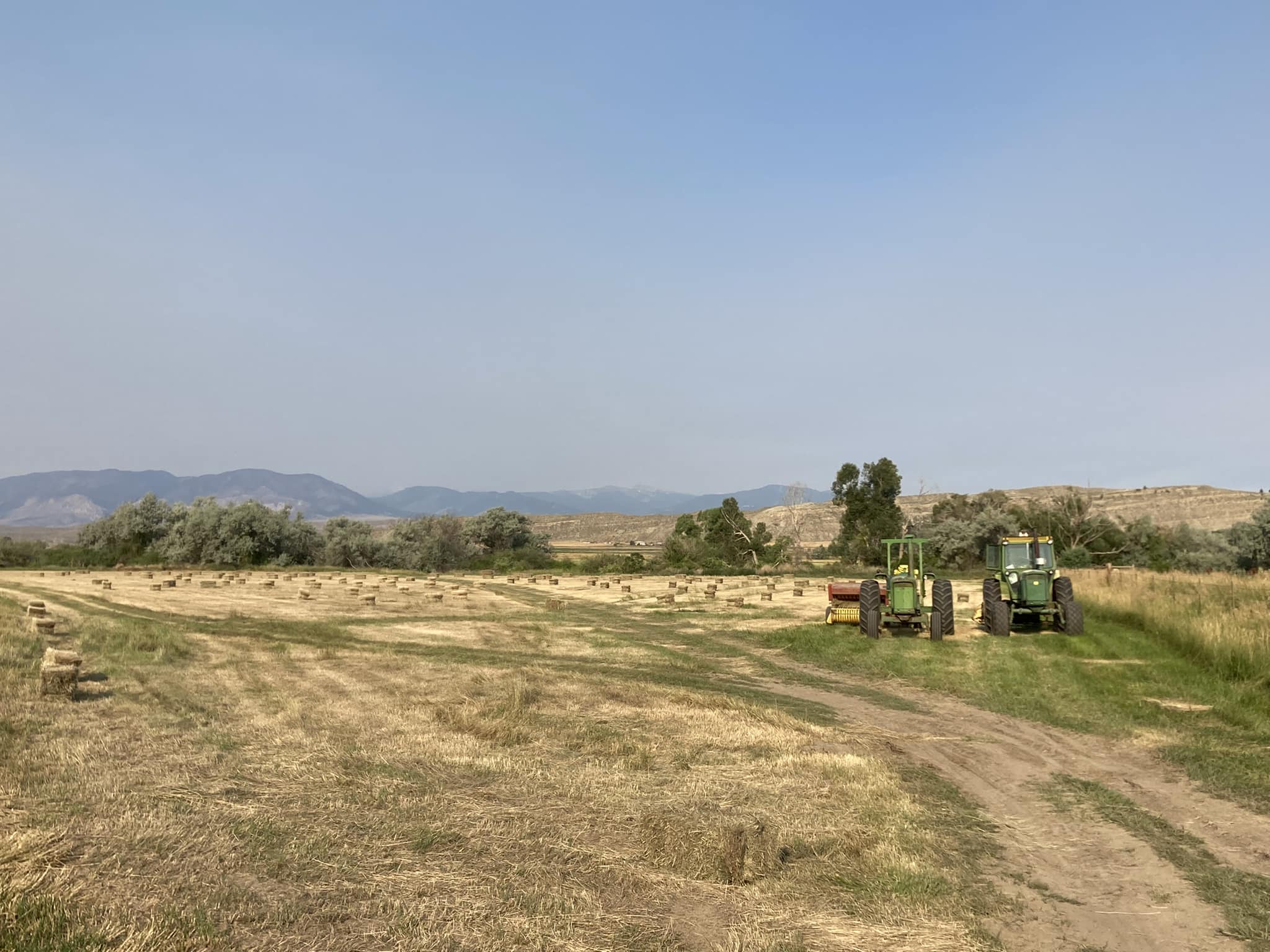 WILD BISON RANCH | Bridger MT