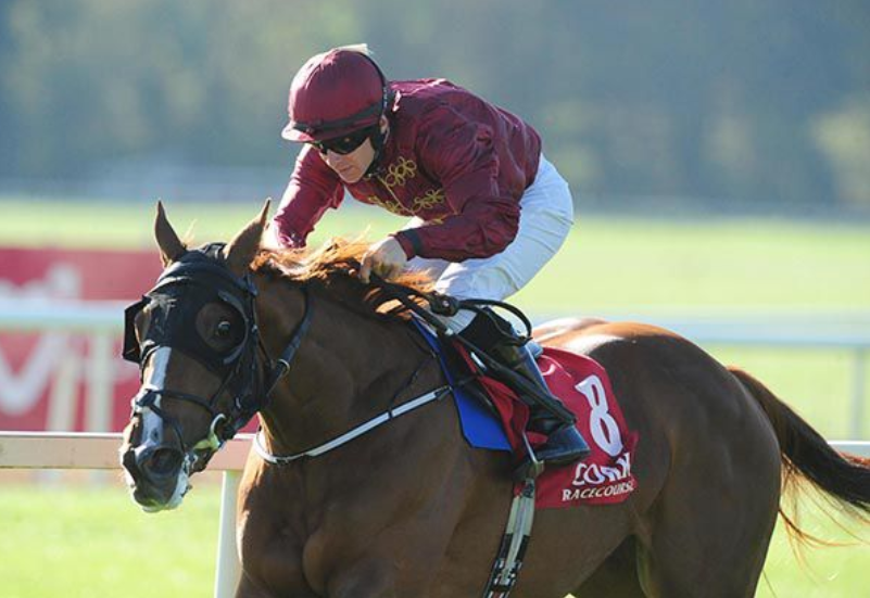 Danny Murphy Racing | Kildare