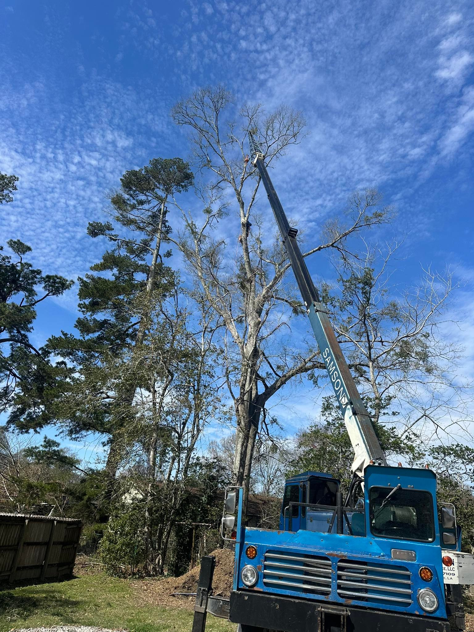 Garden Of Eden Tree Service
